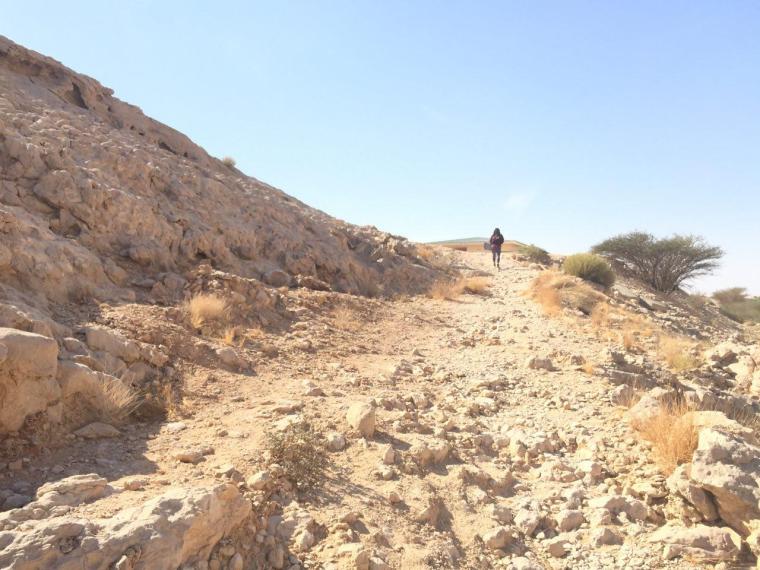 photo_2017-12-16_17-57-50