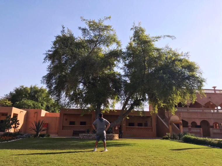 photo_2017-12-16_18-05-21